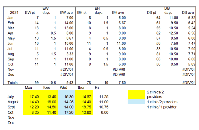 Mesa clinic patient days and provider summary 11-19-24